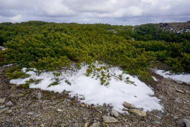 Rusya 'daki Yuzhno Sakhalinsk Çehov Tepesi' nden güzel bir sonbahar manzarası.