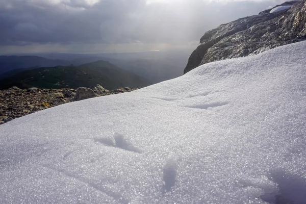 Schnee Auf Dem Gipfel Des Tschechow Gipfels Auf Der Insel — Stockfoto