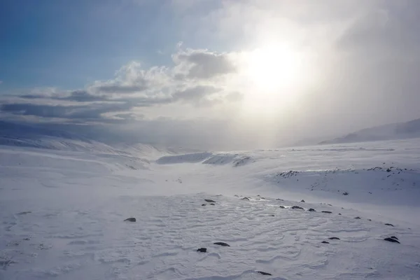 Зимовий Пейзаж Авачинському Перевалі Камчатці Росія — стокове фото