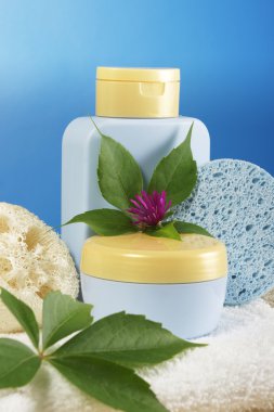 sarı çiçek yakın çekim