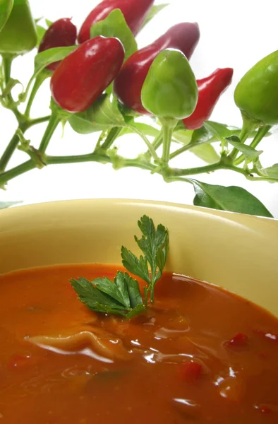 Homemade goulash Soup — Stock Photo, Image