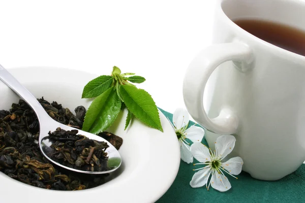 Relajante taza de té — Foto de Stock