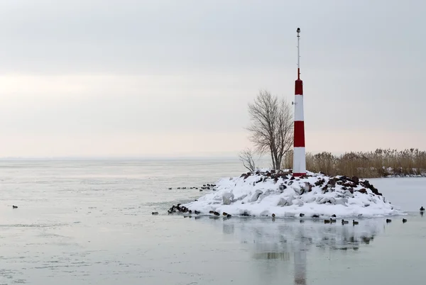 Λίμνη Μπάλατον στην διάρκεια του χειμώνα, Ουγγαρία Royalty Free Φωτογραφίες Αρχείου