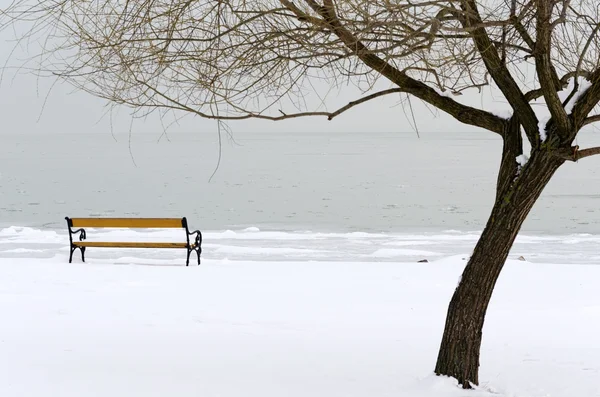 Λίμνη Μπάλατον στην διάρκεια του χειμώνα, Ουγγαρία Εικόνα Αρχείου