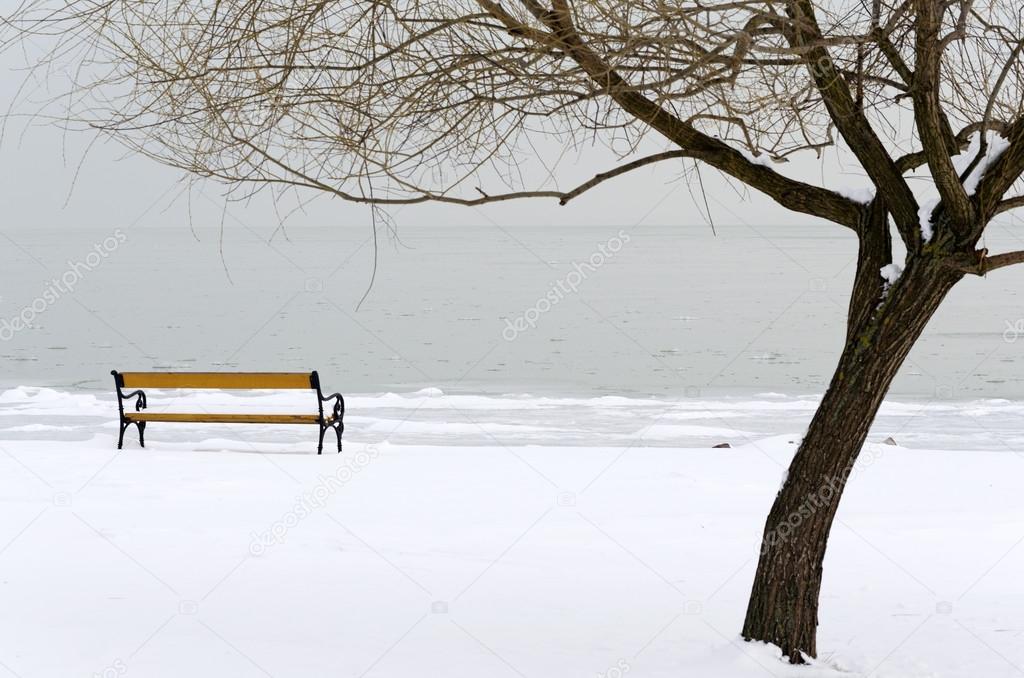 Lake Balaton in winter time,Hungary