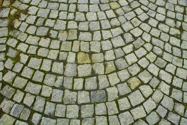 Camino de piedra — Foto de Stock