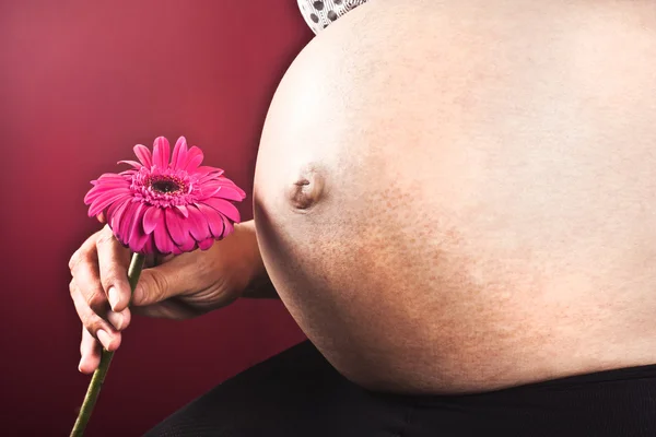 Flor e barriga grávida — Fotografia de Stock