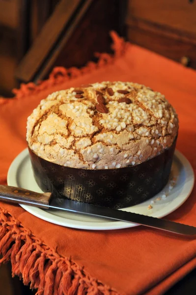 전통적인 이탈리아 크리스마스 panettone — 스톡 사진