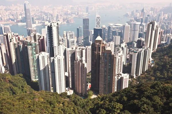 Hong kong Panorama — Stock fotografie