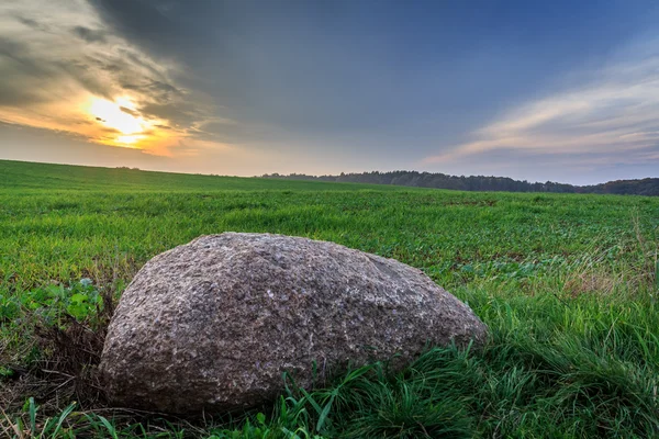 Gün batımı sırasında çayırda taş — Stok fotoğraf
