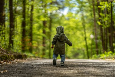 Little boy alone in the wood