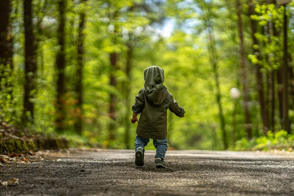Küçük çocuk ormanda yalnız.