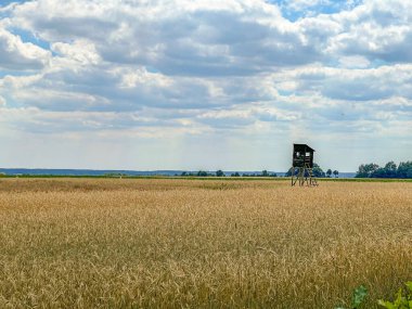 Zielonowo 'da gökyüzü ve alan