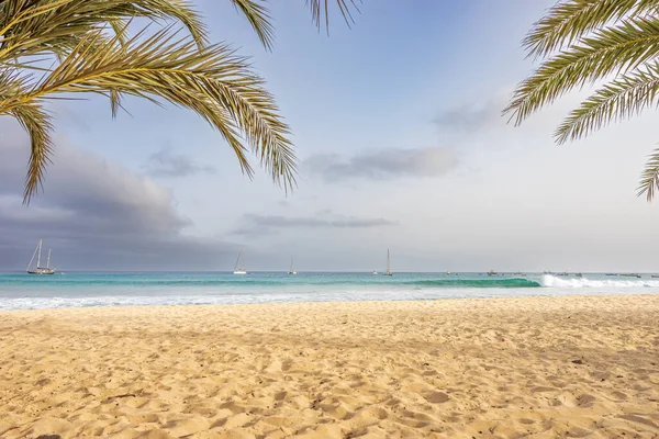 Beach Santa Maria Sal Island Cabo Verde — Stock Photo, Image