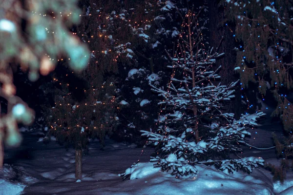 Festive Beautiful Christmas Tree Colorful Garland — Stock Photo, Image