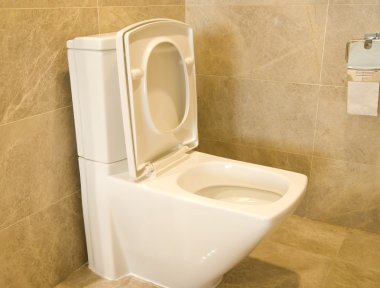 closestool ve bir banyo doku