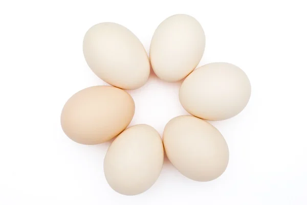 6 ägg uppradade i cirkel med urklippsbana — Stockfoto