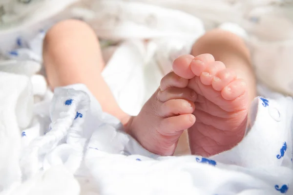 Newborn baby feet — Stock Photo, Image