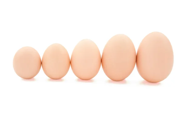 Eieren van verschillende grootte line-up met uitknippad — Stockfoto