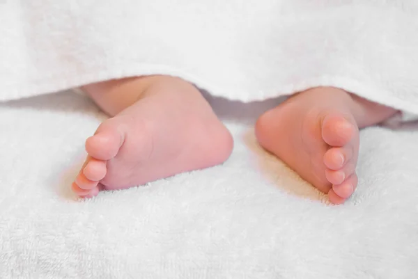 Новорожденные детские ноги — стоковое фото