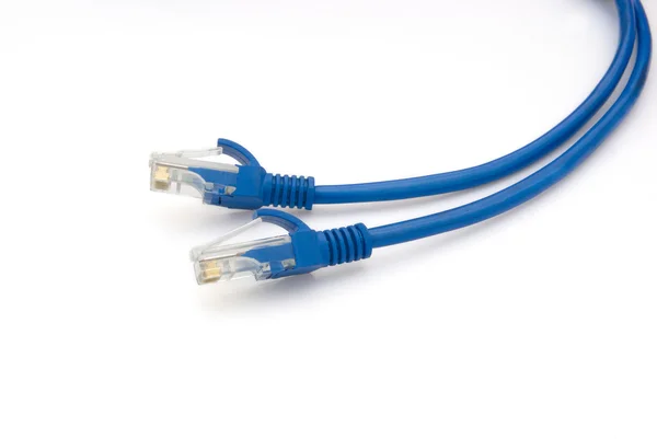 RJ45 cavo di collegamento della rete di computer — Foto Stock