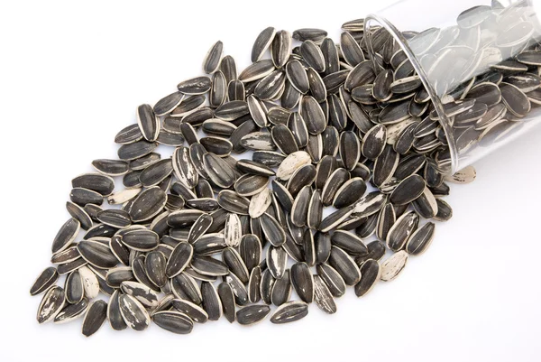 Sunflower seed pour out from a glass cup — Stock Photo, Image