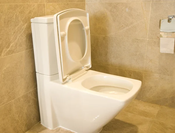 Closestool and tissue in a bathroom — Stock Photo, Image