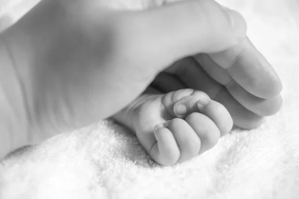 Cobertura da mão do bebê recém-nascido por uma mão masculina — Fotografia de Stock