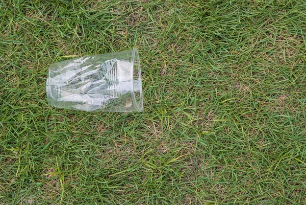 Crushed disposable cup on grass