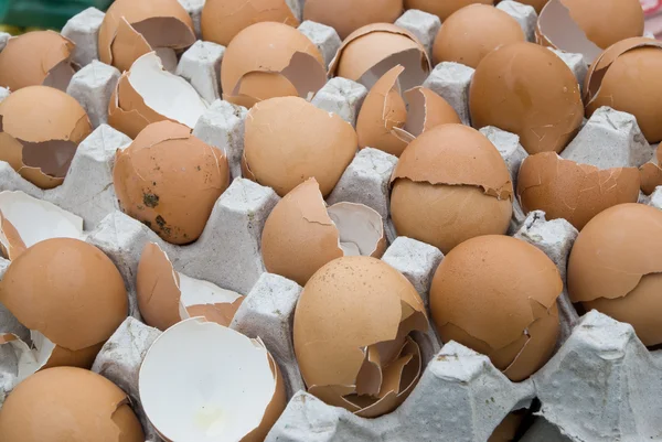 Coquilles d'œufs cassées — Photo