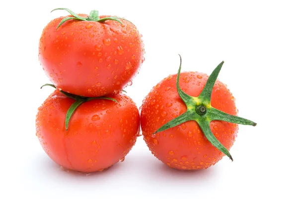 Three fresh tomatoes on a white background — Stock Photo, Image