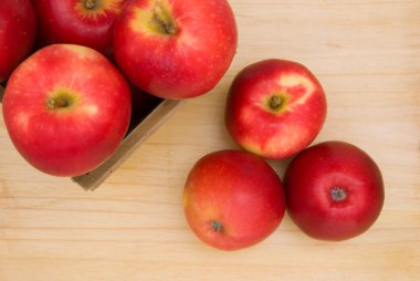 taze elma ahşap panel