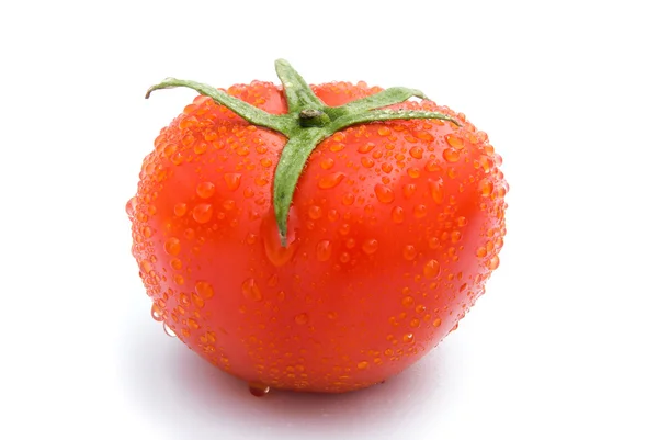 Свіжі помідори на білому тлі — стокове фото