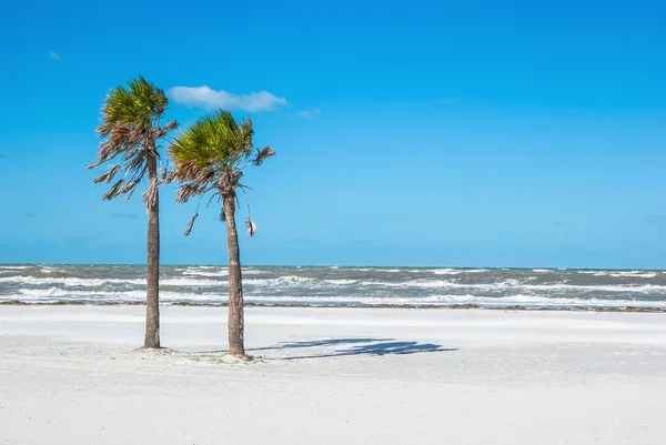 Landskap foto av en tropisk strand — Stockfoto