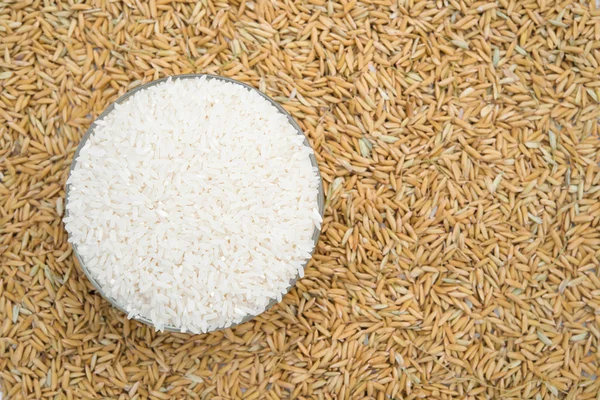 Bowl with rice on paddy — Stock Photo, Image