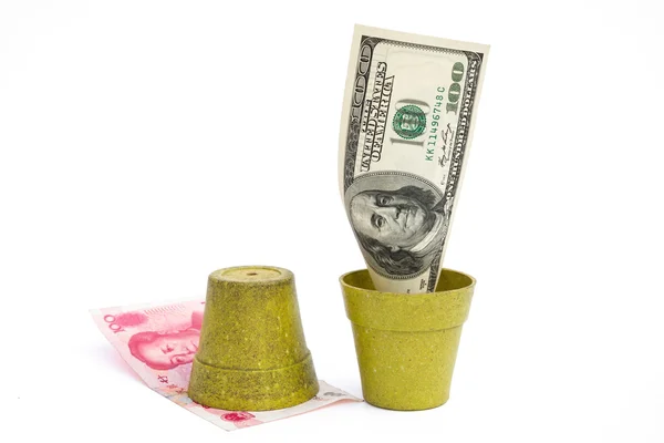 Blooming USD and rotten RMB with clipping path — Stock Photo, Image