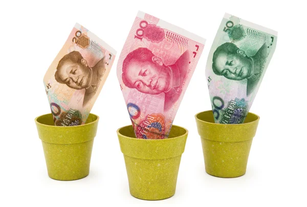 RMB in flower pots with clipping path, concept of investment — Stock Photo, Image