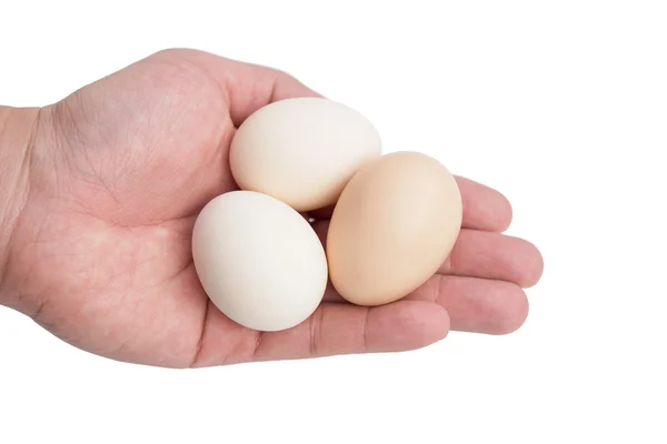 Ruka držící vejce s ořezovou cestou — Stock fotografie