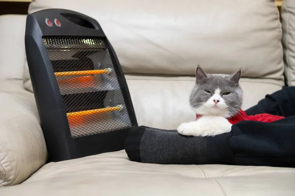 Cat Lying Mans Foot Sofa Electric Heater Nearby — Stock Photo, Image