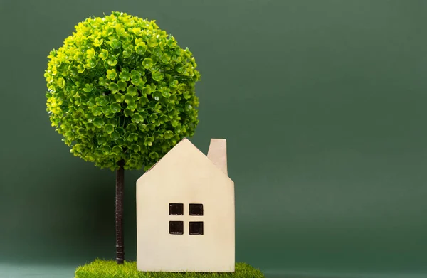 Модель Дома Зеленой Траве Деревом Спине — стоковое фото