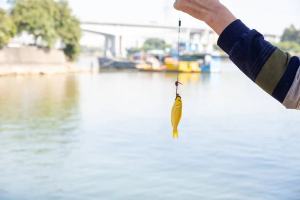 Ein Mann Hat Gerade Einen Kleinen Goldfarbenen Fisch Einer Niete — Stockfoto
