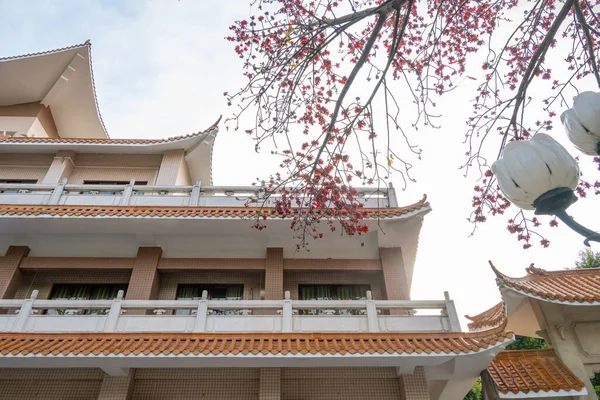 Traditional Chinese Building Blooming Bombax Ceiba Red Cotton Morning — Stock Photo, Image