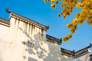 Geleneksel Çin binası ve çiçek açan Guayacan veya Handroanthus chrysanthus veya öğleden sonraki yatay kompozisyonda Altın Çan Ağacı