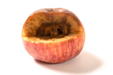 Açı görünümü olgun elma ve kötü çürümüş çekirdek beyaz arka planda