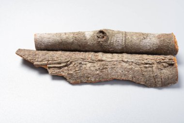 Açı görüşü GuiPi ya da Bark o Wilson Tarçın ya da Japon Tarçın Kabuğu