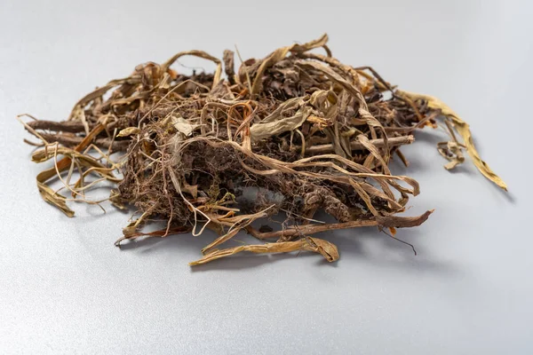 Angle View Herb Gansong Nardostachyos Radix Rhizoma Chinese Nardostachys Root — Stock Photo, Image