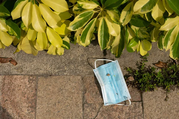 Medical Mask Had Been Thrown Ground — Stockfoto