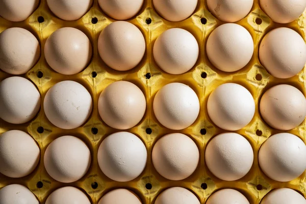 Arriba Ver Huevos Pollo Estuche — Foto de Stock