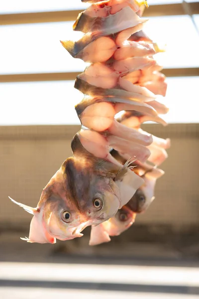 Сырая Рыба Высушивается Воздухом Балконе Вертикального Композита — стоковое фото