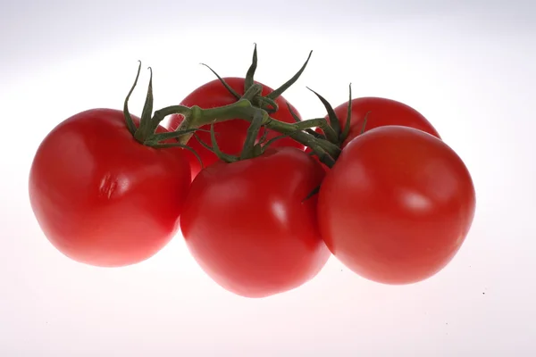 Beyaz arka planda olgun domatesler